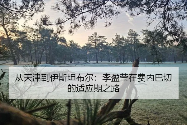 cong-tian-jin-dao-yi-si-tan-bu-er-li-ying-ying-zai-fei-nei-ba-qie-de-shi-ying-qi-zhi-lu-2-715.jpg
